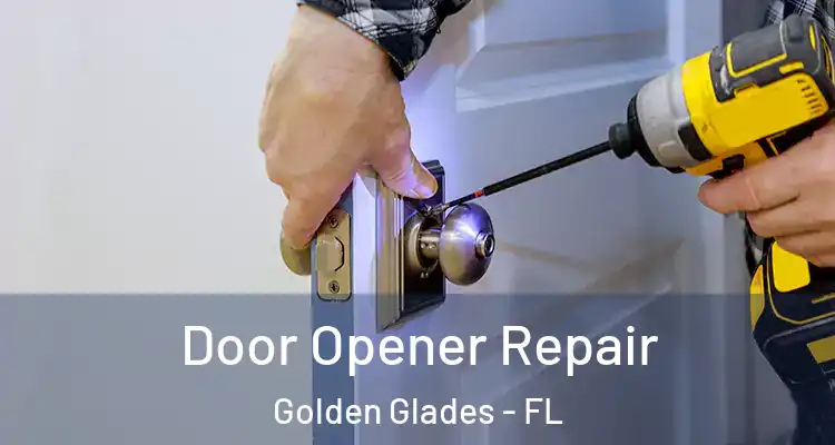  Door Opener Repair Golden Glades - FL