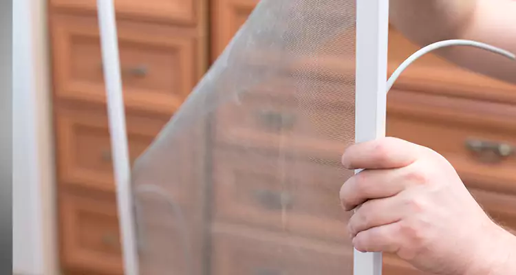 Privacy Mesh Screen Door Installation in Golden Glades, FL