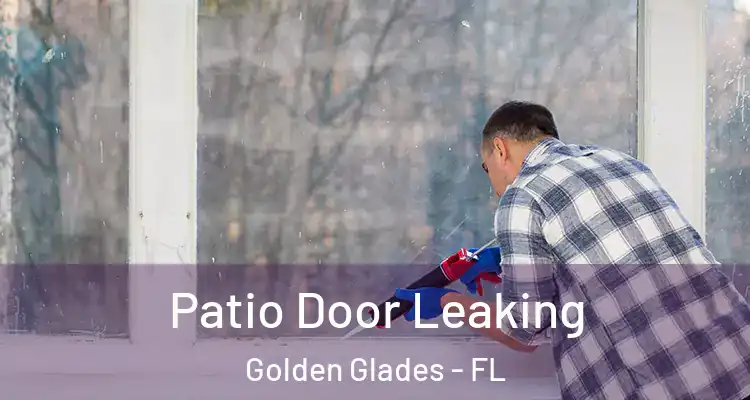  Patio Door Leaking Golden Glades - FL