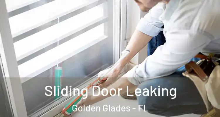  Sliding Door Leaking Golden Glades - FL