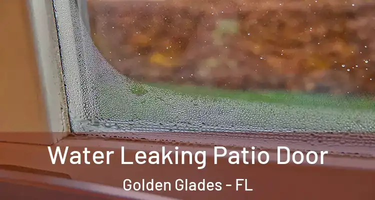  Water Leaking Patio Door Golden Glades - FL